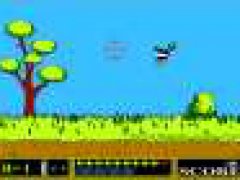 Duck Hunt