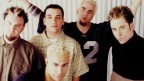 Bloodhound Gang music videos