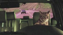 Holy Fuck - Red Lights