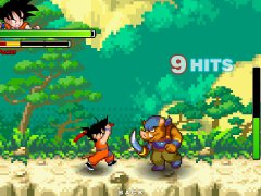 Dragon Ball Fierce Fighting 1.9