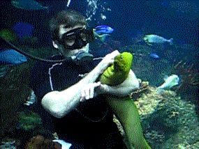 Undersea pet