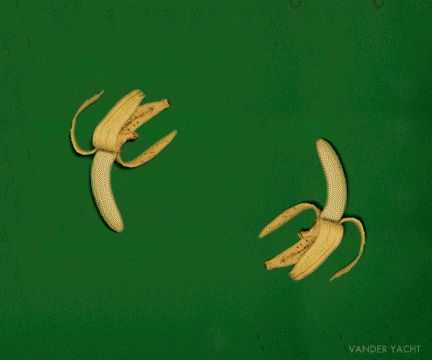 Banana wortex