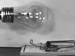 Light bulb in mouse trap in slow motion