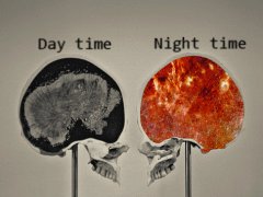Brain at day and night