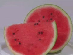 Timelapse of a watermelon rotting