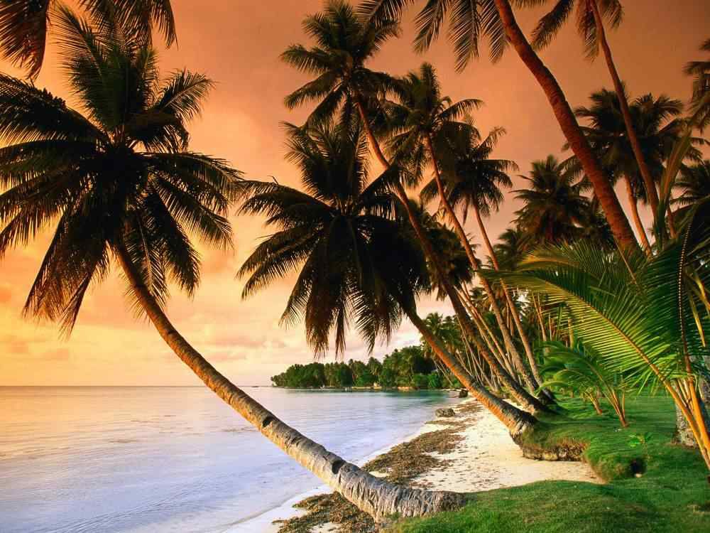 Micronesia’s Blissful Blue Lagoon Beach
