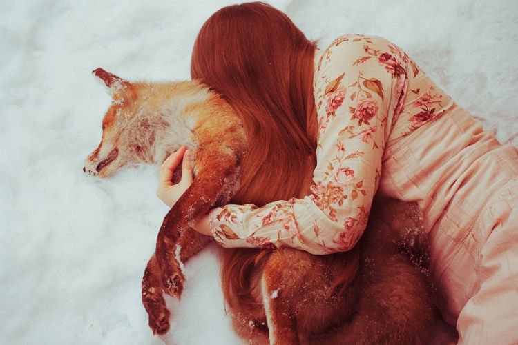 fairy tale about a girl who found dead animal in the forest and shared it with her warmth