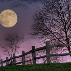 November Moon, Hocking Hills, Ohio