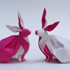 Twin Rabbits
