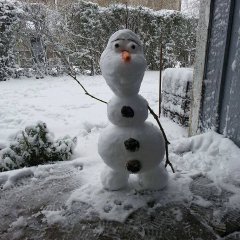 Olaf the Danish snowman