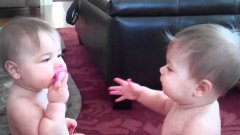 Two Babies Fight Over Pacifier