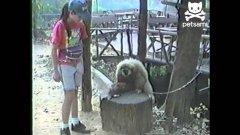 Demanding monkey has a bad itch