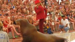 Michael Jackson walrus dance show
