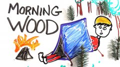 The science of 'morning wood'