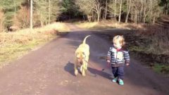 Best Friends - a kid, a dog and a puddle