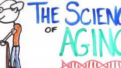 The science of aging