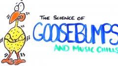 The science of goosebumps and music chills
