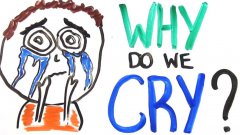 Why do we cry?