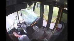 Deer crashes into bus
