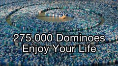 275,000 dominoes Guinness world record