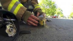 Firefighter rescues kitten from fire
