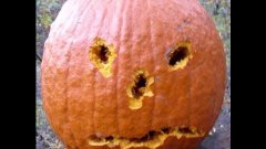 Carving Pumpkin By Shooting With Gun