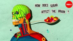 How Sugar Affects The Brain Animation