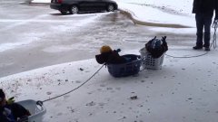 Dad Takes Kids on Laundry Basket Sled Ride