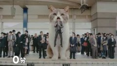 Japanese Gum Commercial With Giant Cat
