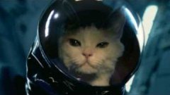 Cat Goes To Space Russian Lotto Commercial