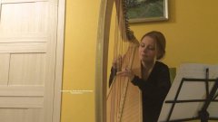 The Run, author's music on the harp
