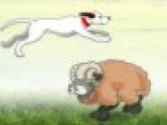 Sheep Jumper