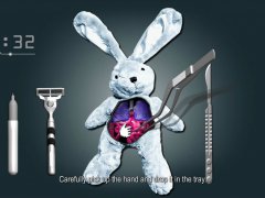Rabbit surgery