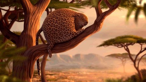 Rolling Safari: Sleeping beauty