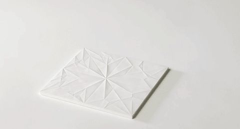 Bird origami