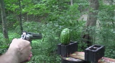 500 Magnum vs watermelon