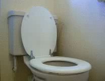 Clever toilet seat