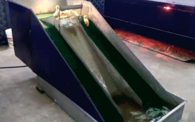 Baby ducks sliding down a water slide