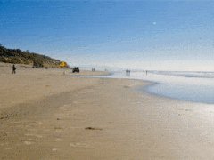 Long walk on the beach