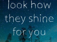 They shine for you