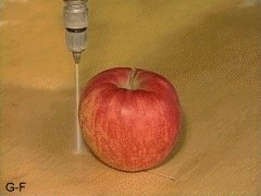 Cutting an apple with water pressure
