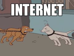 Internet and reality fight