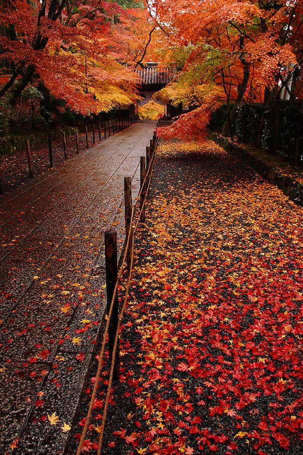 Autumn in Nagaokakyō, Kyoto, Japan