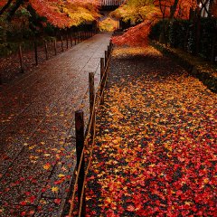 Autumn in Nagaokakyō, Kyoto, Japan