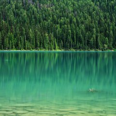 Emerald Lake Yoho National Park { Canada }