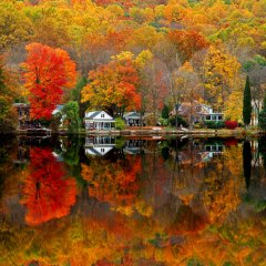 Autumn in New Jersey