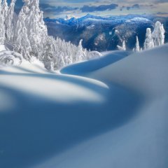Mount Seymour Provincial Park in British Columbia, Canada