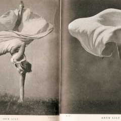 'Lilliput' comparison (9): taken from 'Pocket Omnibus' (1937/38)