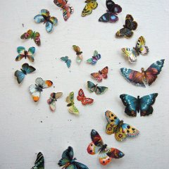 Butterfly swirl