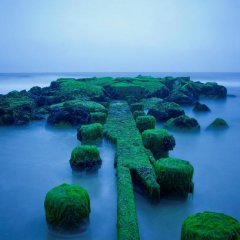 Enchanting Emerald Islands
